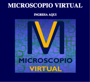 Microscopio Virtual | Departamento De Biología Celular Y Tisular